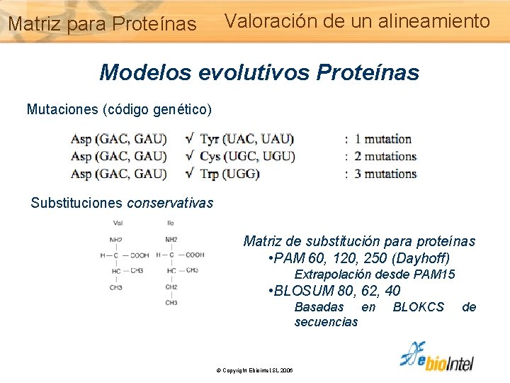 Matriz para Proteínas Valoración de un alineamiento Modelos evolutivos Proteínas Mutaciones (código genético) Substituciones
