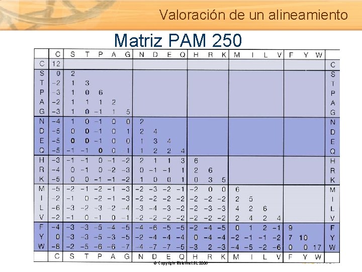 Valoración de un alineamiento Matriz PAM 250 © Copyright Ebiointel, SL 2006 