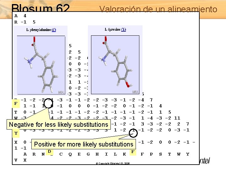 Blosum 62 Valoración de un alineamiento A 4 R -1 5 N -2 0