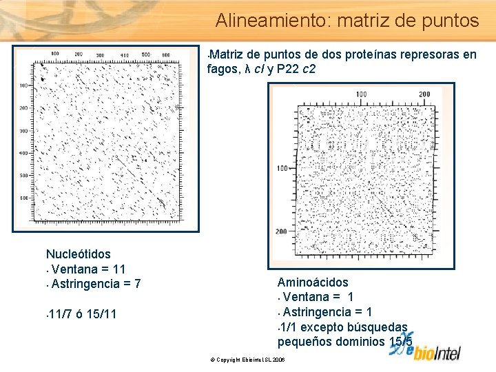 Alineamiento: matriz de puntos Matriz de puntos de dos proteínas represoras en fagos, λ