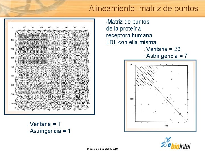 Alineamiento: matriz de puntos Matriz de puntos de la proteína receptora humana LDL con