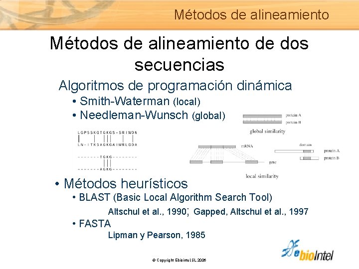 Métodos de alineamiento de dos secuencias Algoritmos de programación dinámica • Smith-Waterman (local) •