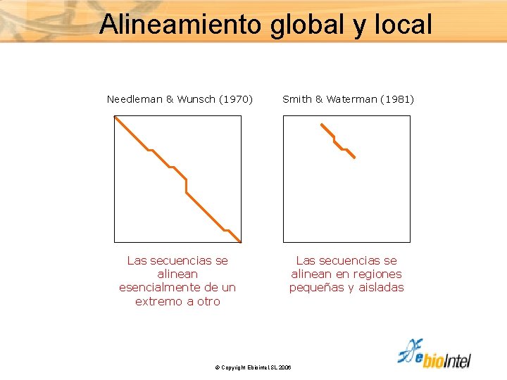 Alineamiento global y local Needleman & Wunsch (1970) Smith & Waterman (1981) Las secuencias