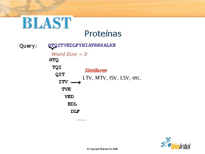 Proteínas Query: GTQITVEDLFYNIATRRKALKN Word Size = 3 GTQ TQI Similares QIT LTV, MTV, ISV,