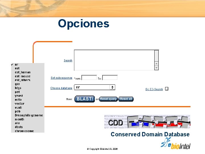 Opciones Conserved Domain Database © Copyright Ebiointel, SL 2006 