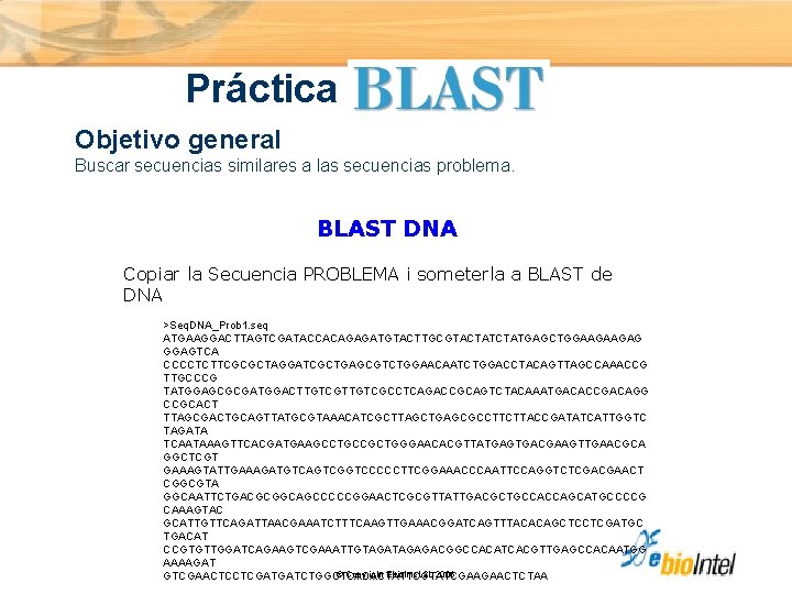 Práctica Objetivo general Buscar secuencias similares a las secuencias problema. BLAST DNA Copiar la