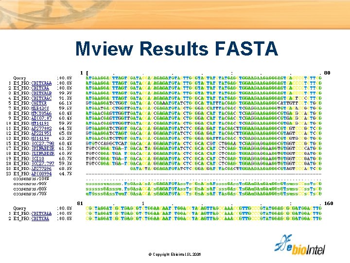 Mview Results FASTA © Copyright Ebiointel, SL 2006 