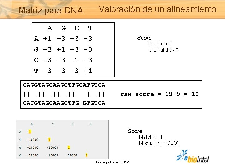 Matriz para DNA Valoración de un alineamiento A G C T A +1 –