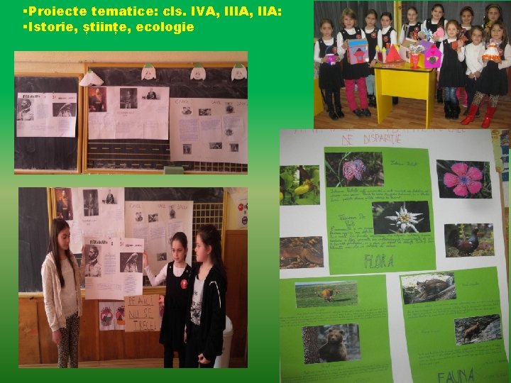 §Proiecte tematice: cls. IVA, IIIA, IIA: §Istorie, științe, ecologie 