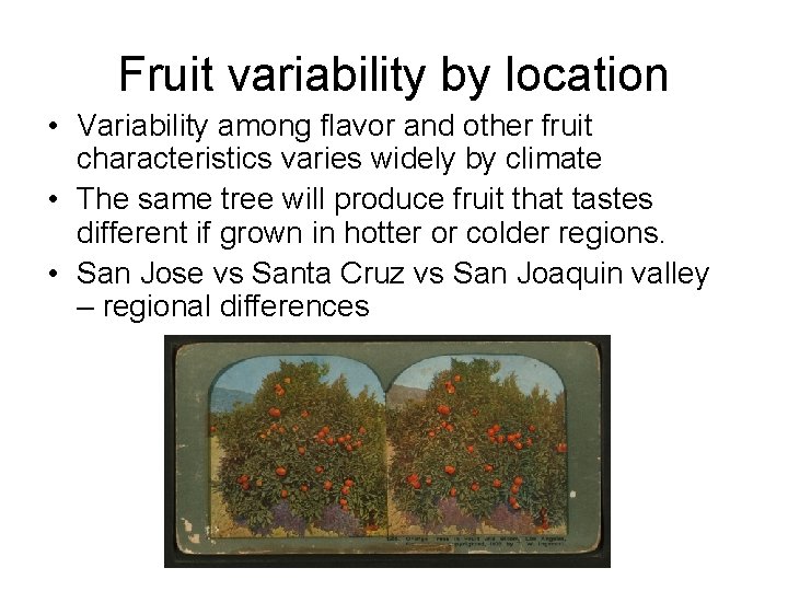 Fruit variability by location • Variability among flavor and other fruit characteristics varies widely