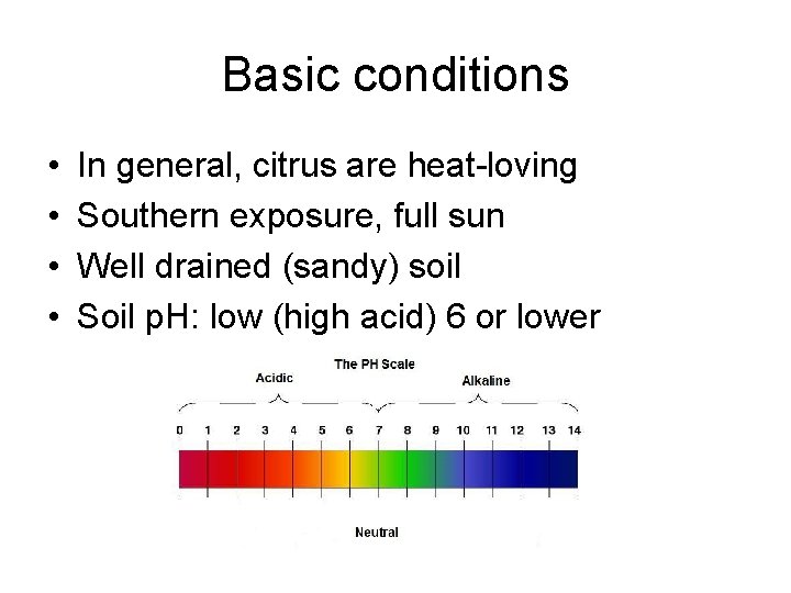 Basic conditions • • In general, citrus are heat-loving Southern exposure, full sun Well