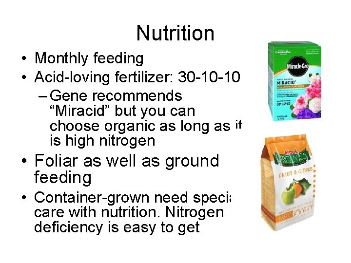 Nutrition • Monthly feeding • Acid-loving fertilizer: 30 -10 -10 – Gene recommends “Miracid”
