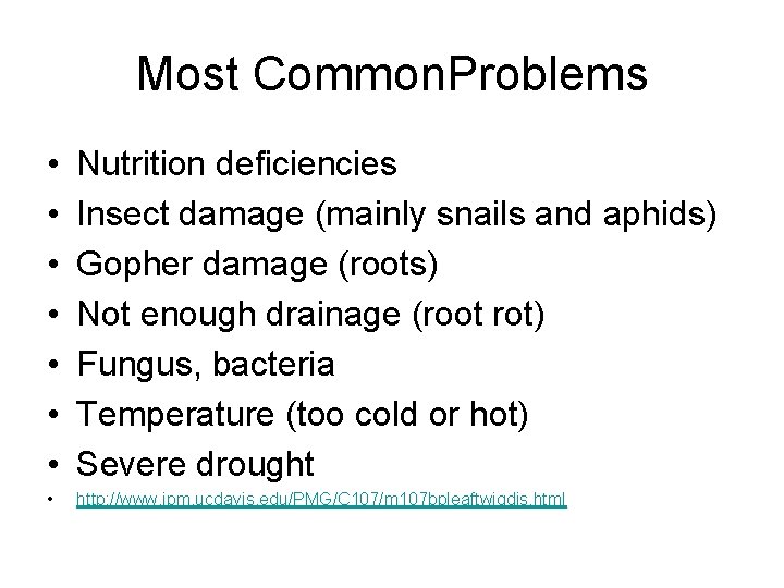 Most Common. Problems • • Nutrition deficiencies Insect damage (mainly snails and aphids) Gopher