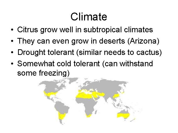 Climate • • Citrus grow well in subtropical climates They can even grow in