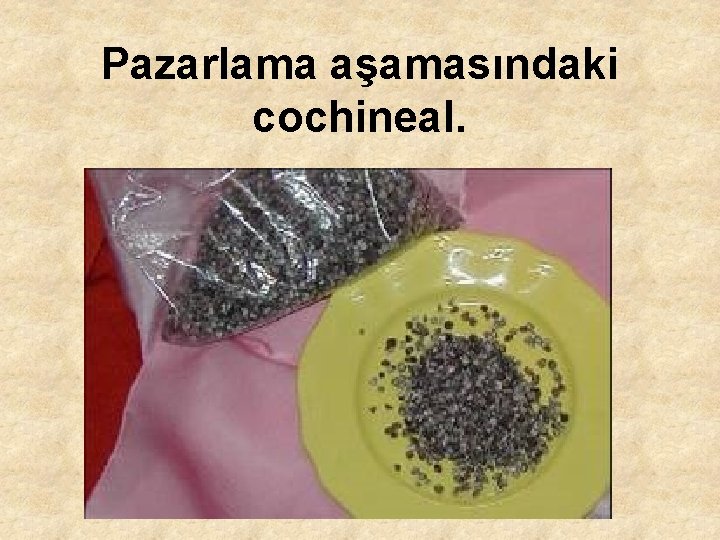 Pazarlama aşamasındaki cochineal. 