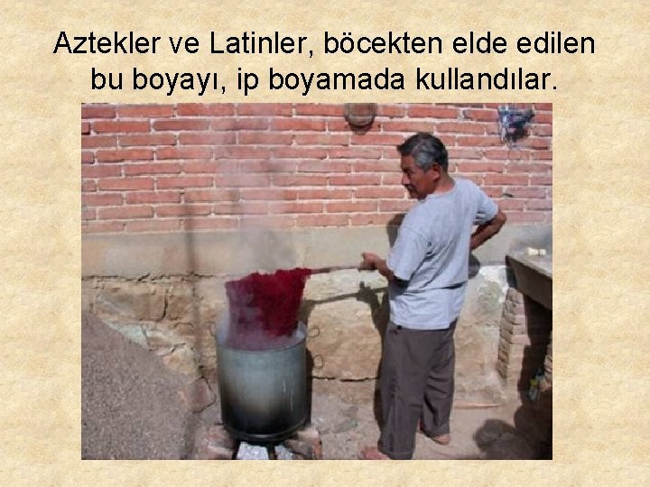 Aztekler ve Latinler, böcekten elde edilen bu boyayı, ip boyamada kullandılar. 