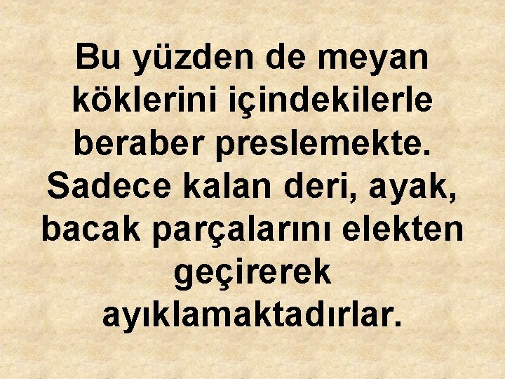Bu yüzden de meyan köklerini içindekilerle beraber preslemekte. Sadece kalan deri, ayak, bacak parçalarını