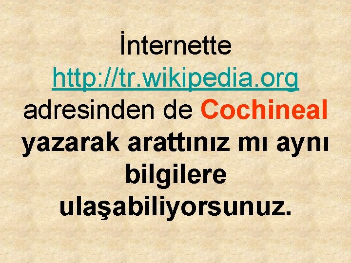 İnternette http: //tr. wikipedia. org adresinden de Cochineal yazarak arattınız mı aynı bilgilere ulaşabiliyorsunuz.