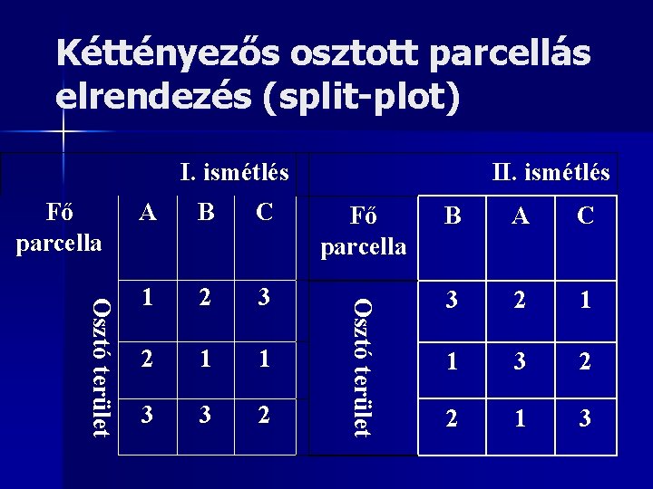 Kéttényezős osztott parcellás elrendezés (split-plot) I. ismétlés Osztó terület A B C 1 2