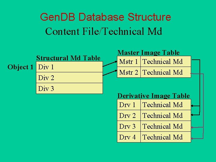 Gen. DB Database Structure Content File/Technical Md Structural Md Table Object 1 Div 2