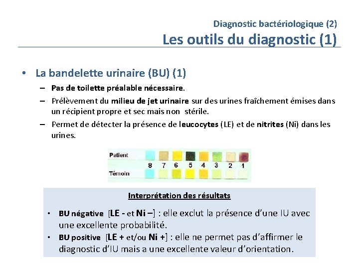 Diagnostic bactériologique (2) Les outils du diagnostic (1) • La bandelette urinaire (BU) (1)