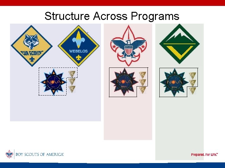 Structure Across Programs 