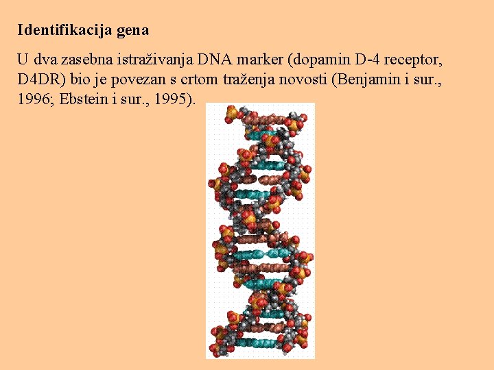 Identifikacija gena U dva zasebna istraživanja DNA marker (dopamin D-4 receptor, D 4 DR)