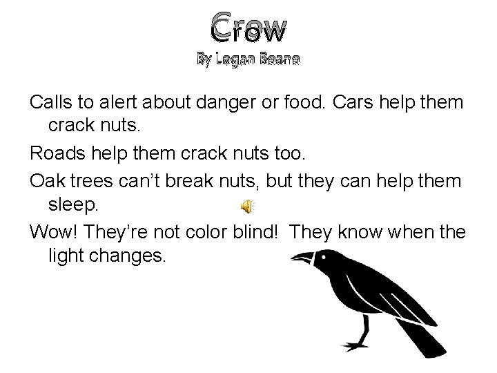 Crow By Logan Beane Calls to alert about danger or food. Cars help them