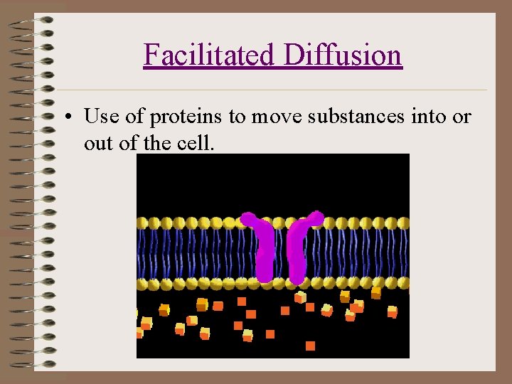 Facilitated Diffusion • Use of proteins to move substances into or out of the