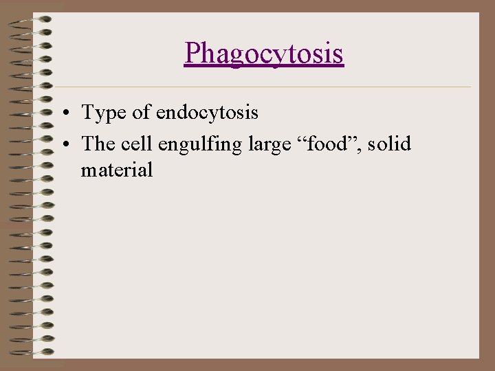 Phagocytosis • Type of endocytosis • The cell engulfing large “food”, solid material 