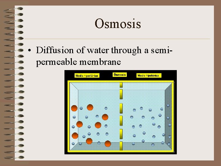 Osmosis • Diffusion of water through a semipermeable membrane 