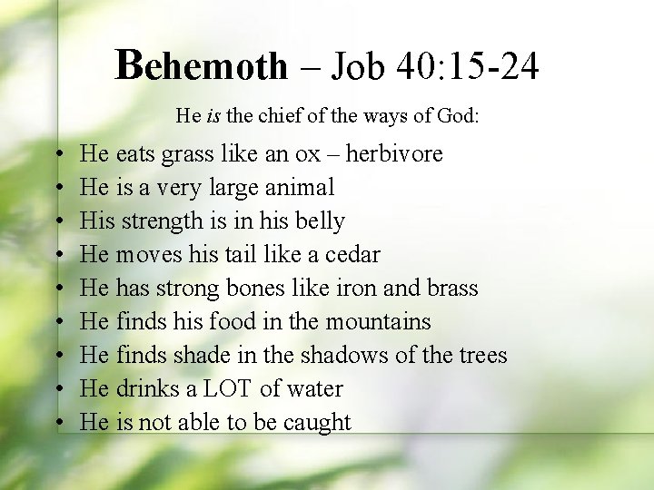 Behemoth – Job 40: 15 -24 He is the chief of the ways of