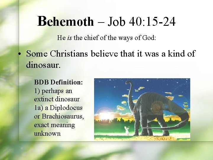 Behemoth – Job 40: 15 -24 He is the chief of the ways of
