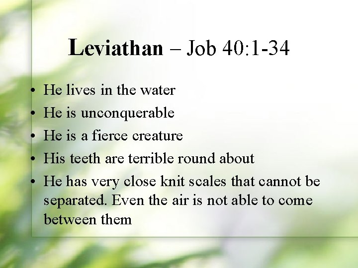 Leviathan – Job 40: 1 -34 • • • He lives in the water