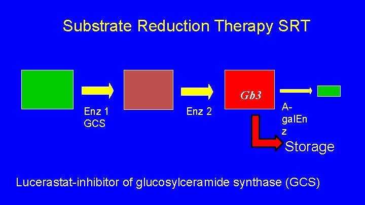 Substrate Reduction Therapy SRT Gb 3 Enz 1 GCS Enz 2 Agal. En z Substrate Reduction Therapy SRT Gb 3 Enz 1 GCS Enz 2 Agal. En z