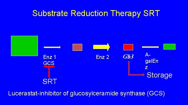 Substrate Reduction Therapy SRT Enz 1 GCS SRT Enz 2 Gb 3 Agal. En Substrate Reduction Therapy SRT Enz 1 GCS SRT Enz 2 Gb 3 Agal. En