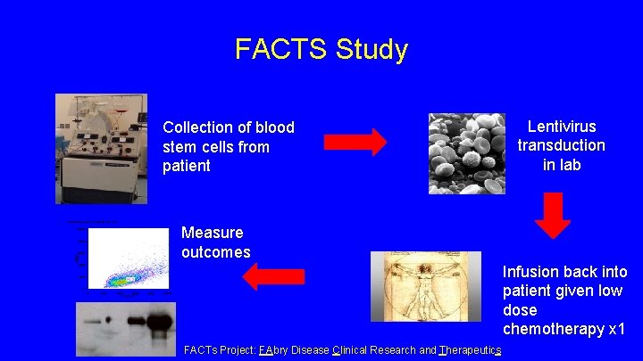 FACTS Study Collection of blood stem cells from patient Lentivirus transduction in lab Measure FACTS Study Collection of blood stem cells from patient Lentivirus transduction in lab Measure