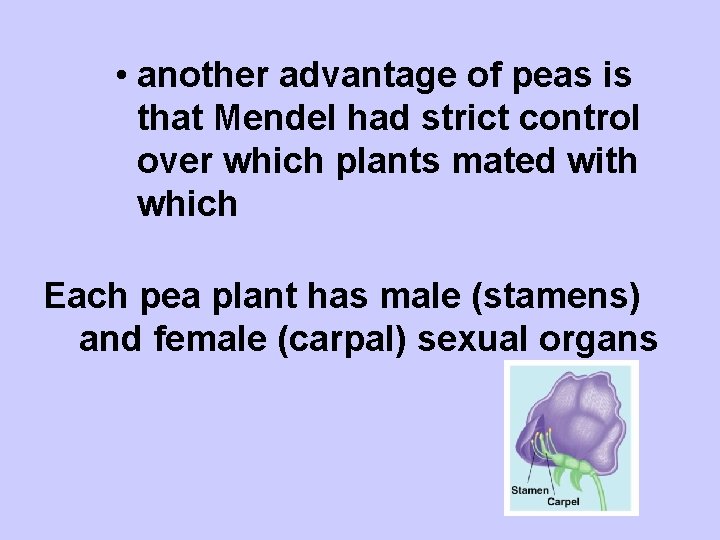  • another advantage of peas is that Mendel had strict control over which