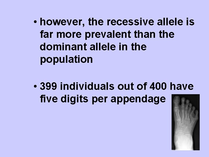  • however, the recessive allele is far more prevalent than the dominant allele
