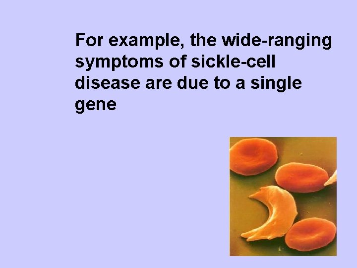 For example, the wide-ranging symptoms of sickle-cell disease are due to a single gene