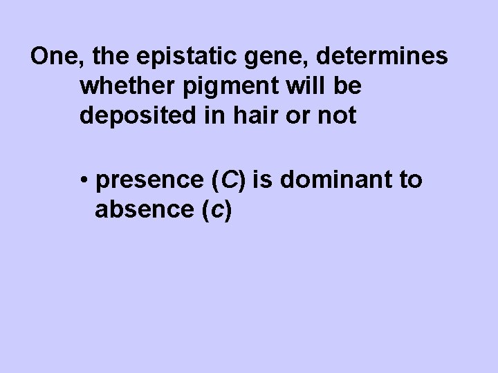 One, the epistatic gene, determines whether pigment will be deposited in hair or not