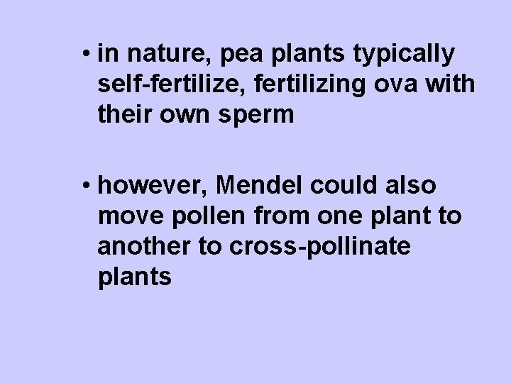  • in nature, pea plants typically self-fertilize, fertilizing ova with their own sperm
