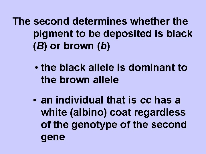 The second determines whether the pigment to be deposited is black (B) or brown