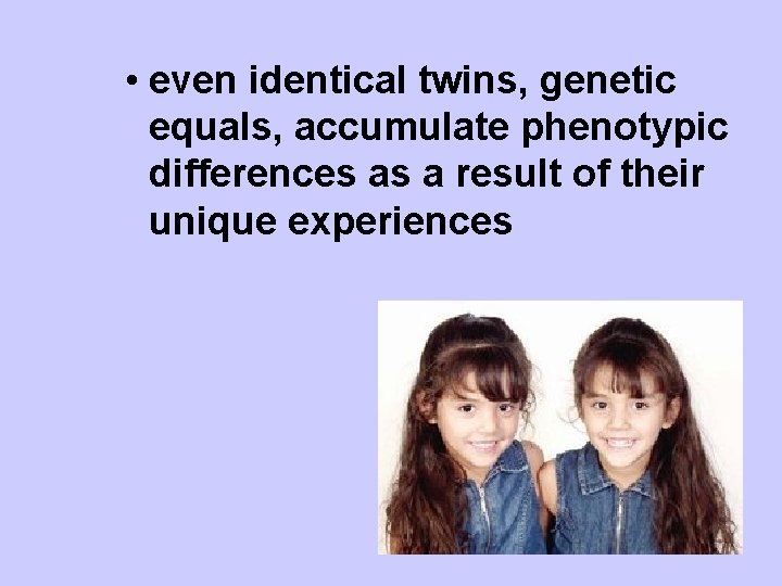  • even identical twins, genetic equals, accumulate phenotypic differences as a result of