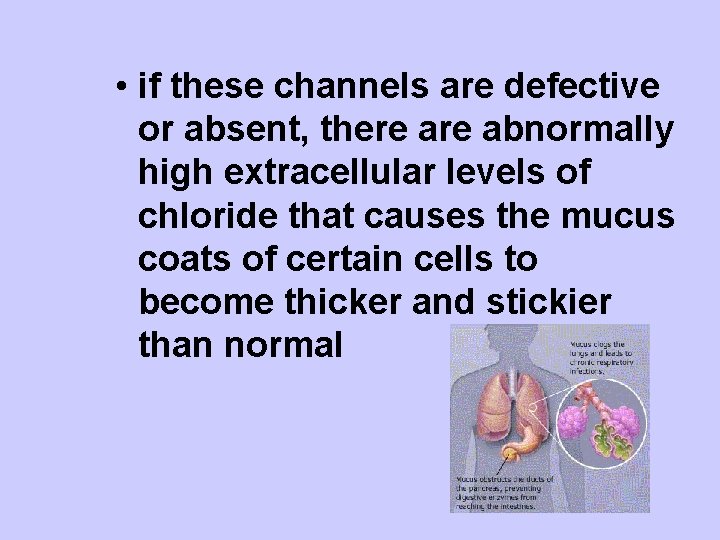  • if these channels are defective or absent, there abnormally high extracellular levels