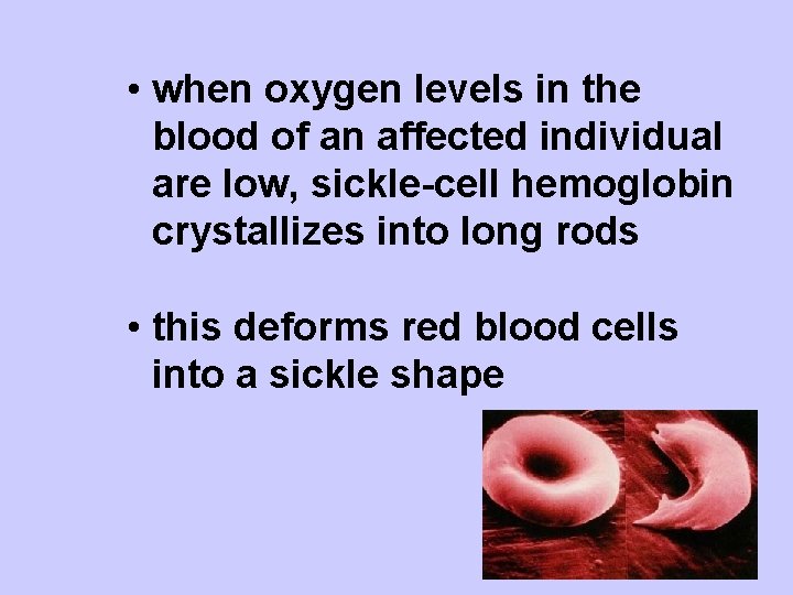  • when oxygen levels in the blood of an affected individual are low,