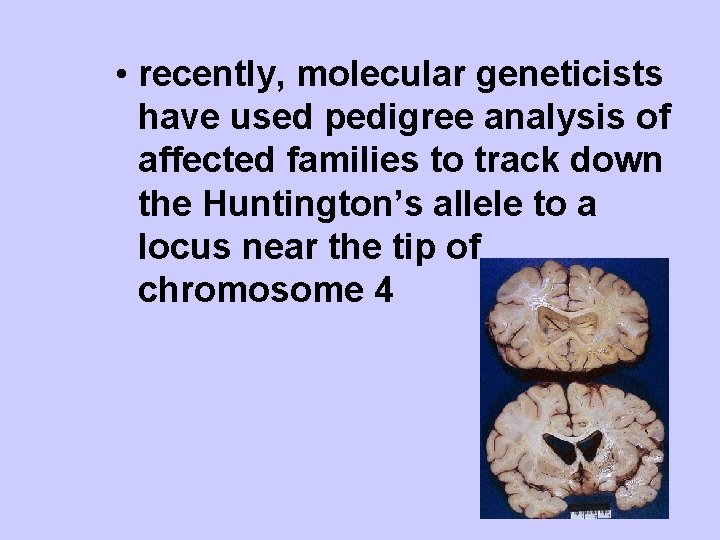  • recently, molecular geneticists have used pedigree analysis of affected families to track
