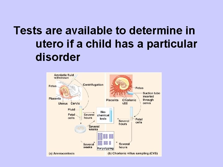 Tests are available to determine in utero if a child has a particular disorder