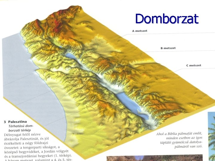 Domborzat 