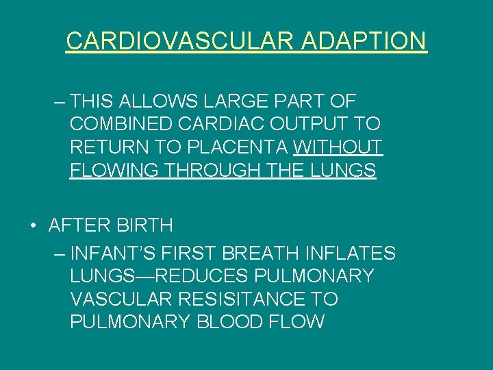 CARDIOVASCULAR ADAPTION – THIS ALLOWS LARGE PART OF COMBINED CARDIAC OUTPUT TO RETURN TO